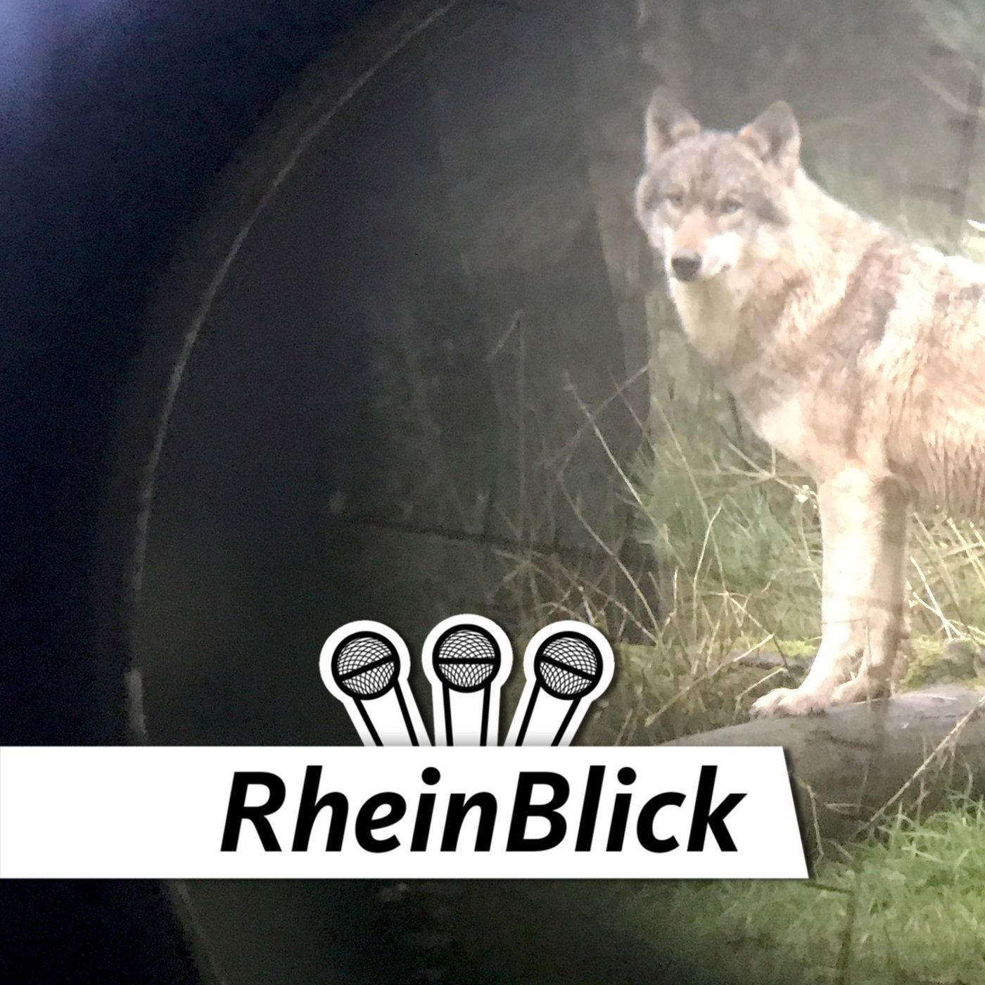 Wer erschießt den bösen Wolf?