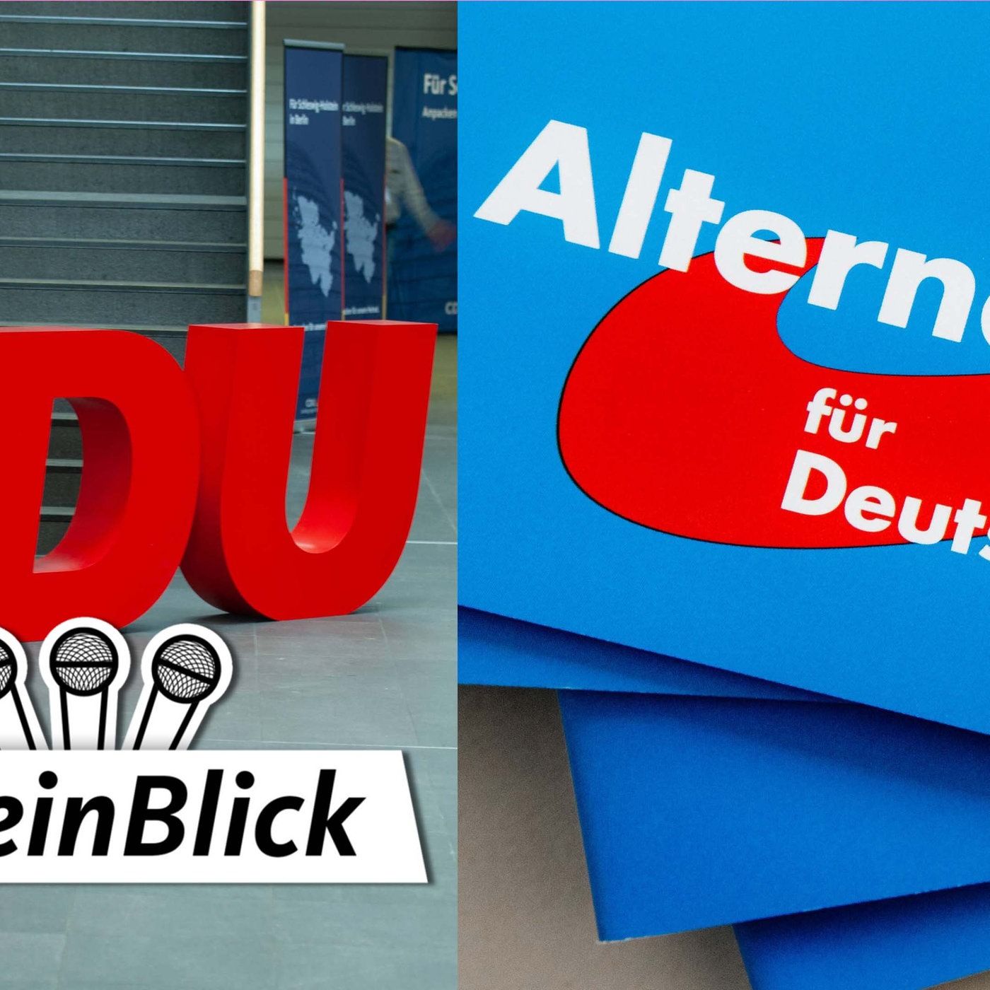 Was geht mit der AfD? - Das Dilemma der CDU.