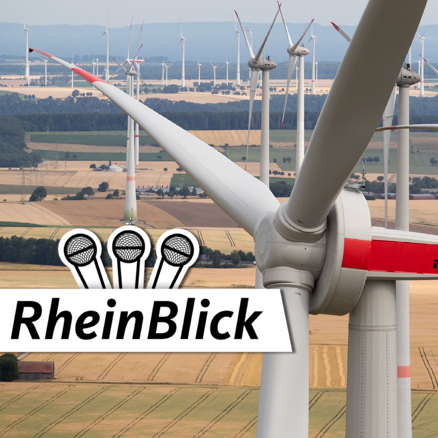 Immer Ärger um das Windrad