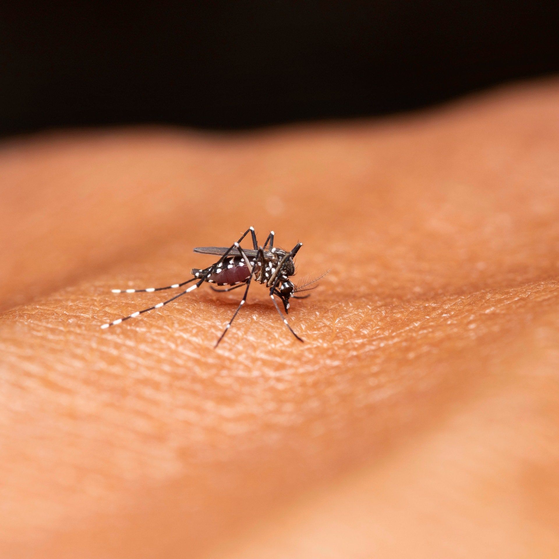 Diese Fortschritte gibt es beim Kampf gegen Malaria