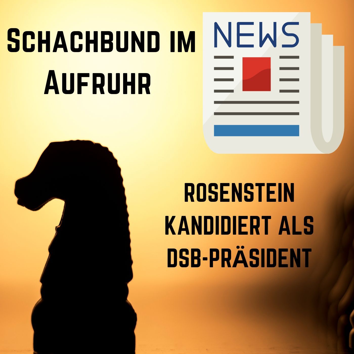 Schachbund im Aufruhr | Wadim Rosenstein will DSB-Präsident werden! | #162
