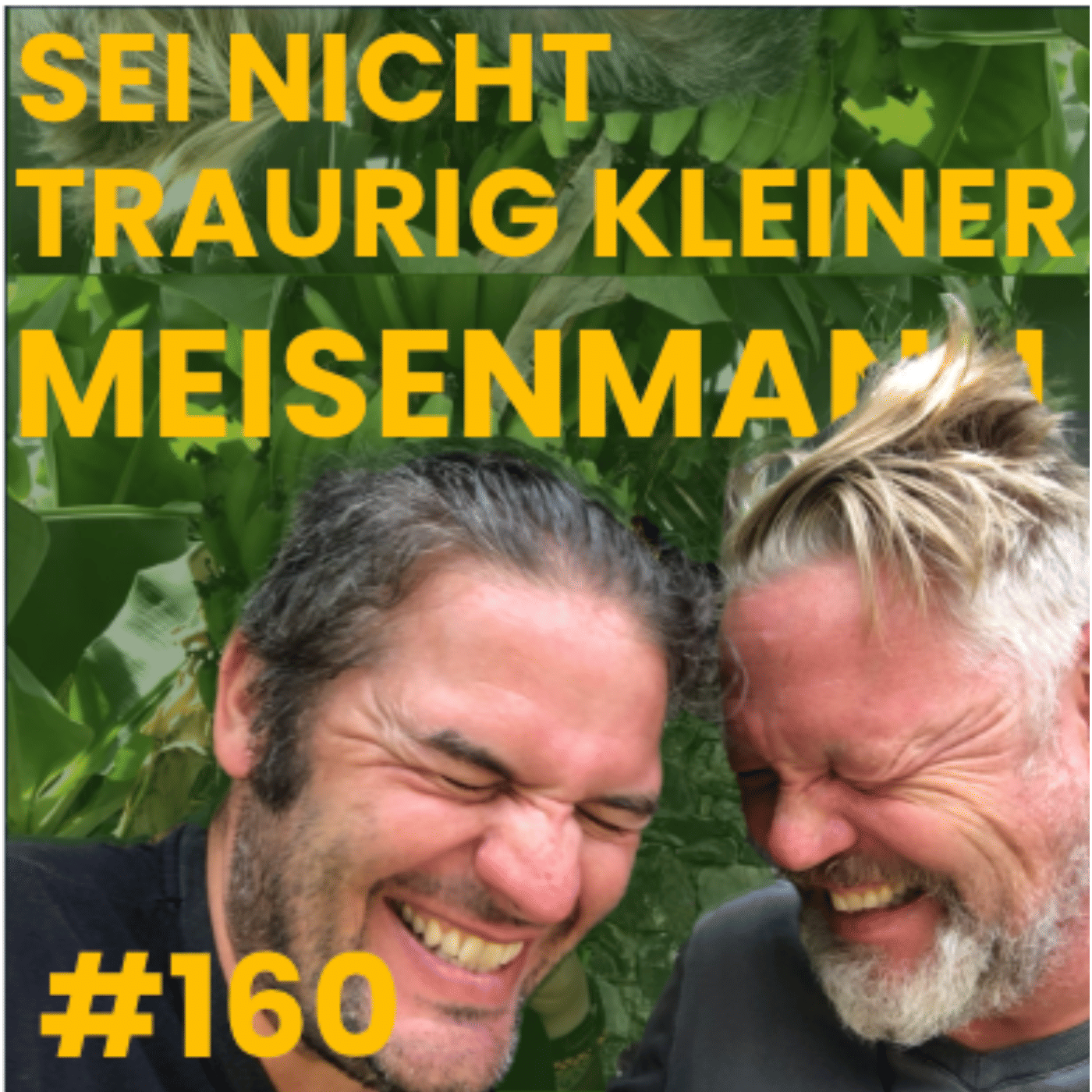 #160 Sei nicht traurig, kleiner Meisenmann.