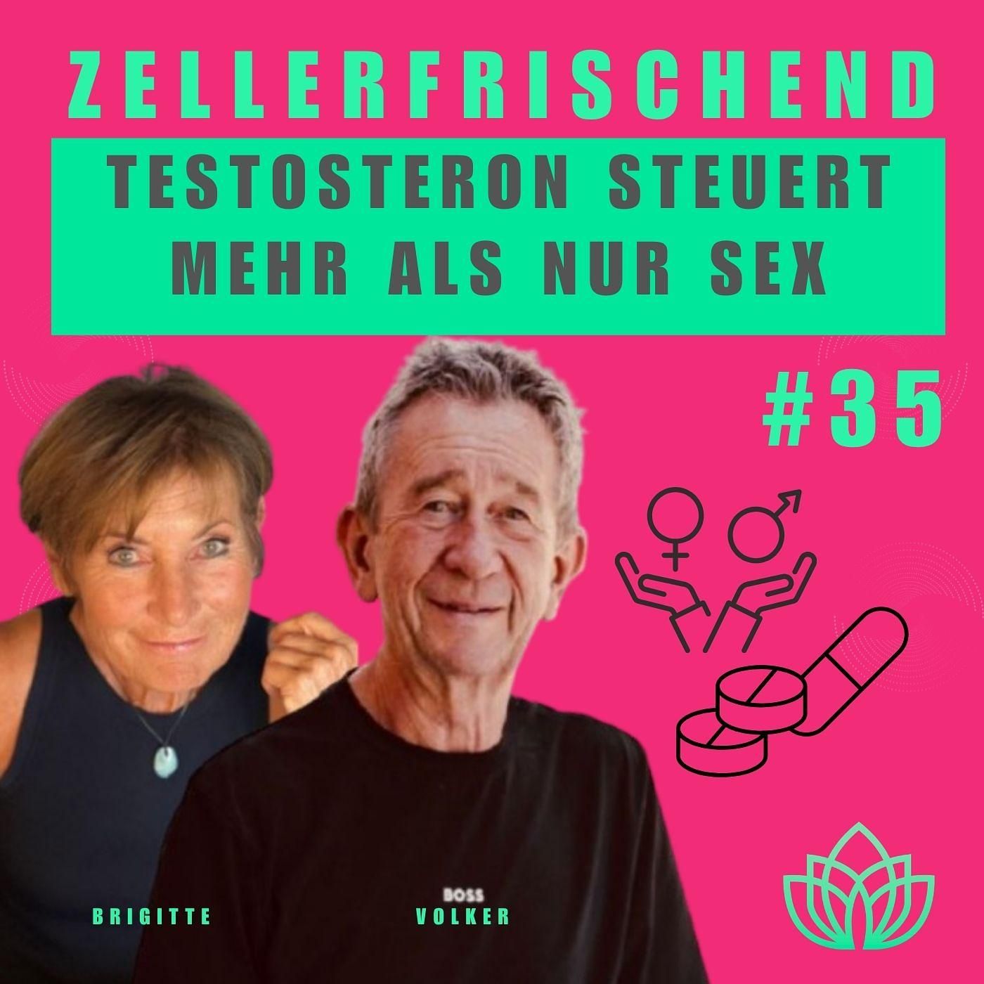 zellerfrischend - Testosteron. Viel mehr als Lust #35