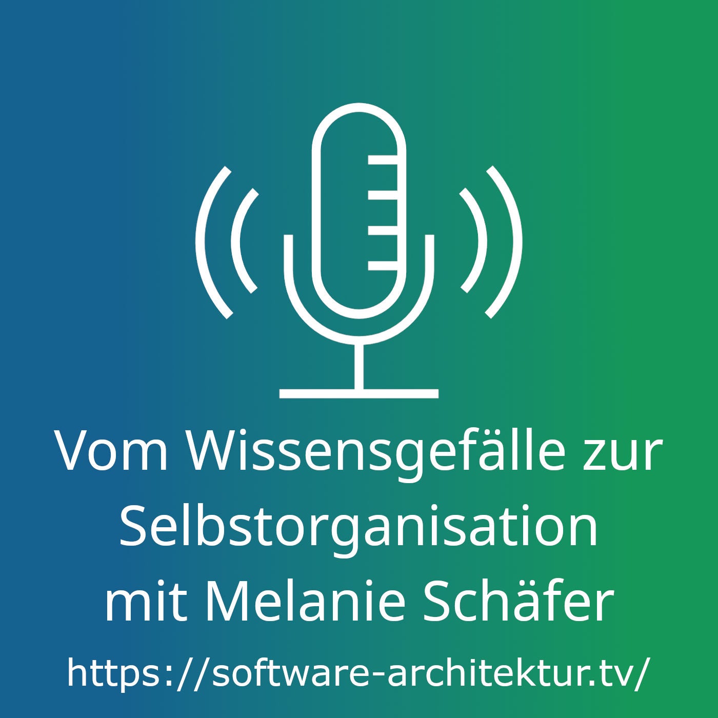 Vom Wissensgefälle zur Selbstorganisation mit Melanie Schäfer