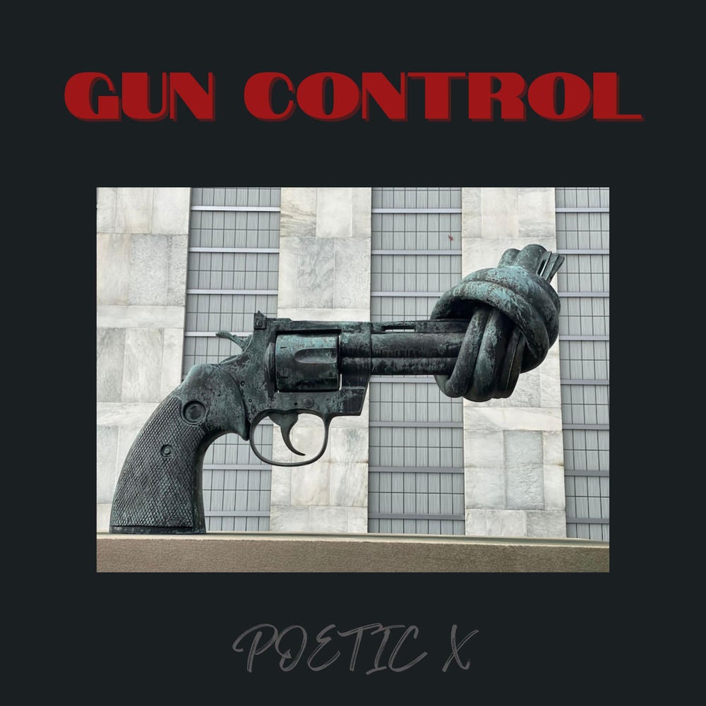 GUN CONTROL