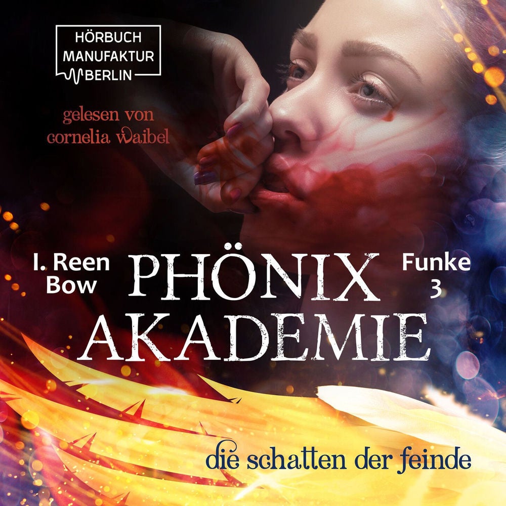 Die Schatten der Feinde - Phönixakademie, Band 3