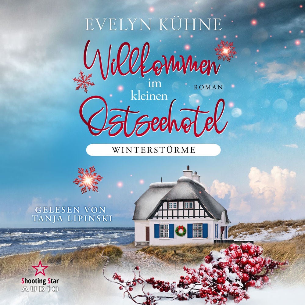 Winterstürme - Willkommen im kleinen Ostseehotel, Band 1
