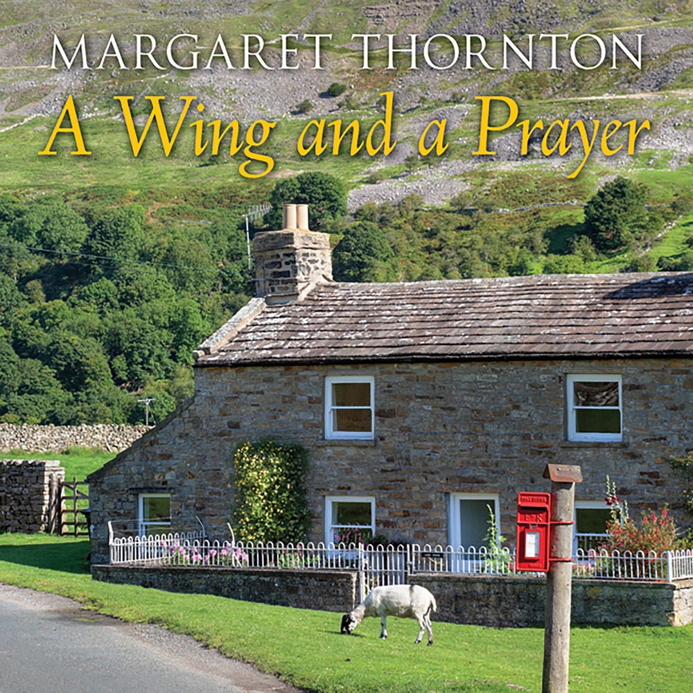 A Wing and A Prayer