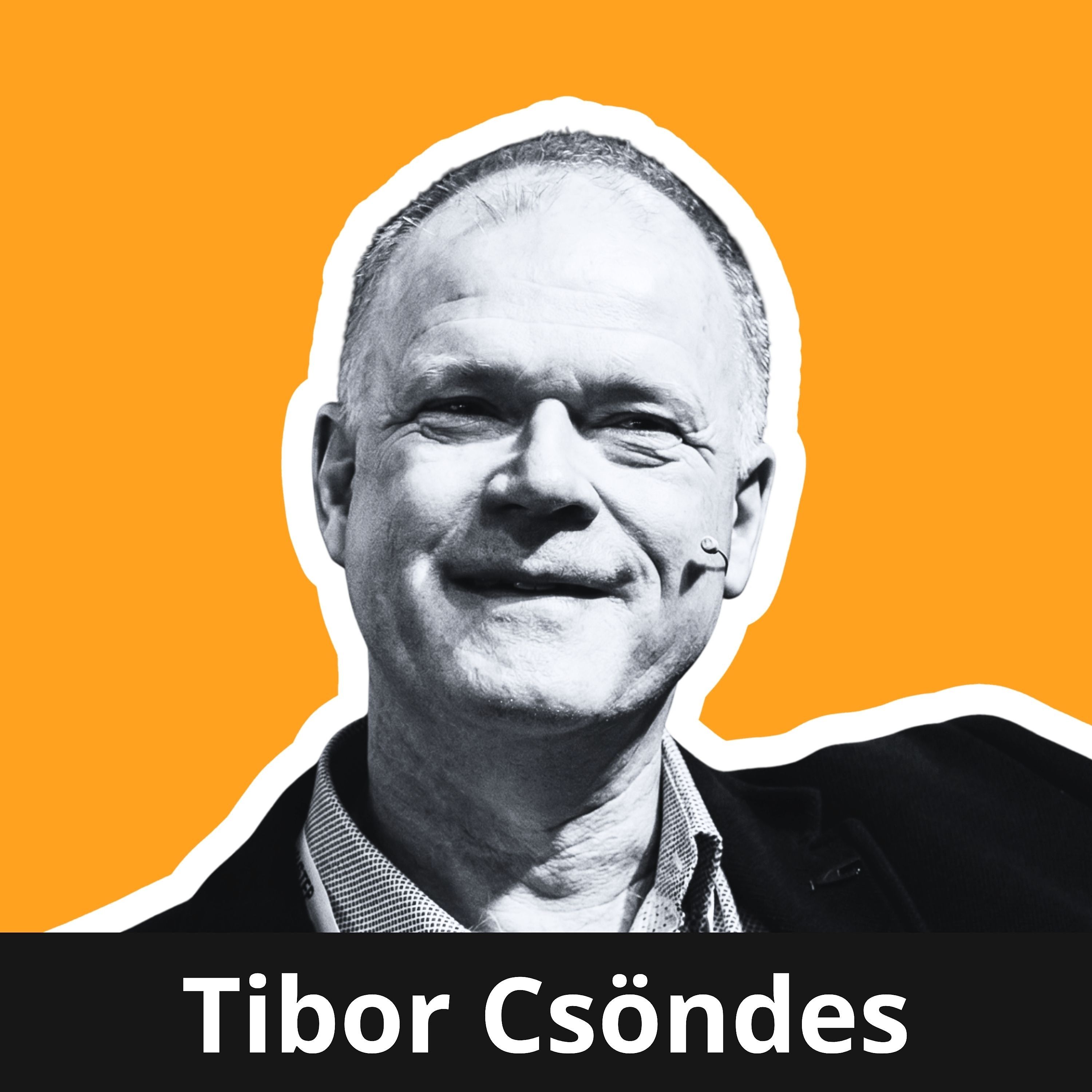 Old Testing vs. New Testing - Tibor Csöndes