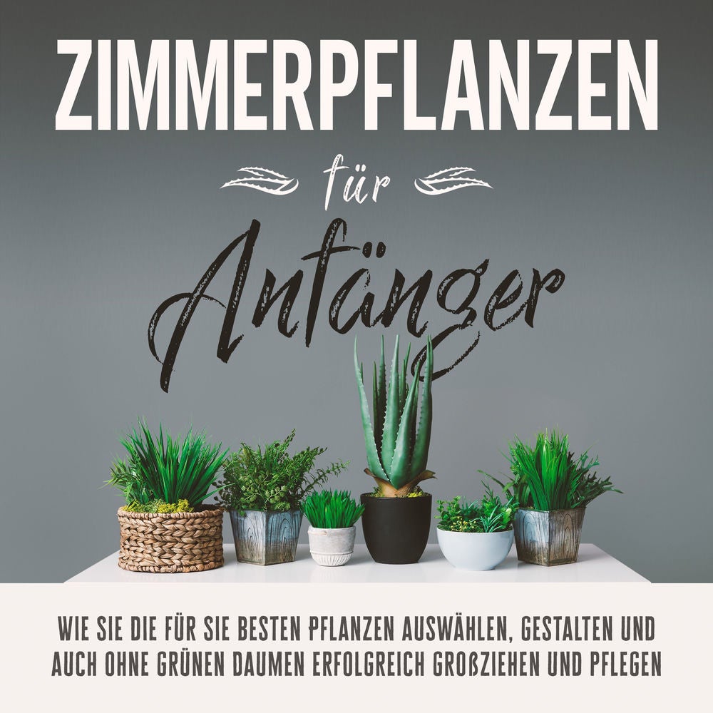 Zimmerpflanzen für Anfänger: Wie Sie die für Sie besten Pflanzen auswählen, gestalten und auch ohne grünen Daumen erfolgreich groß