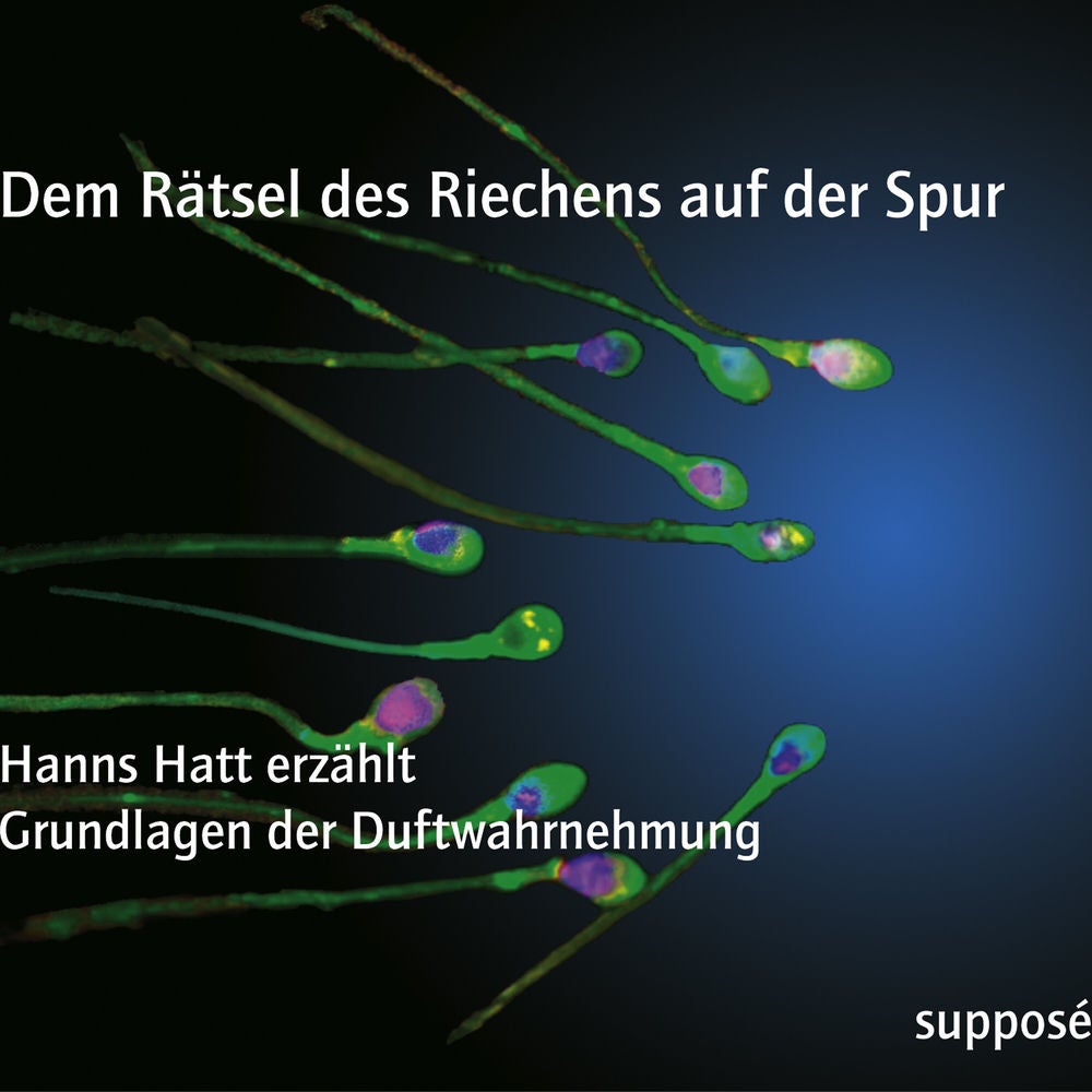 Dem Rätsel des Riechens auf der Spur