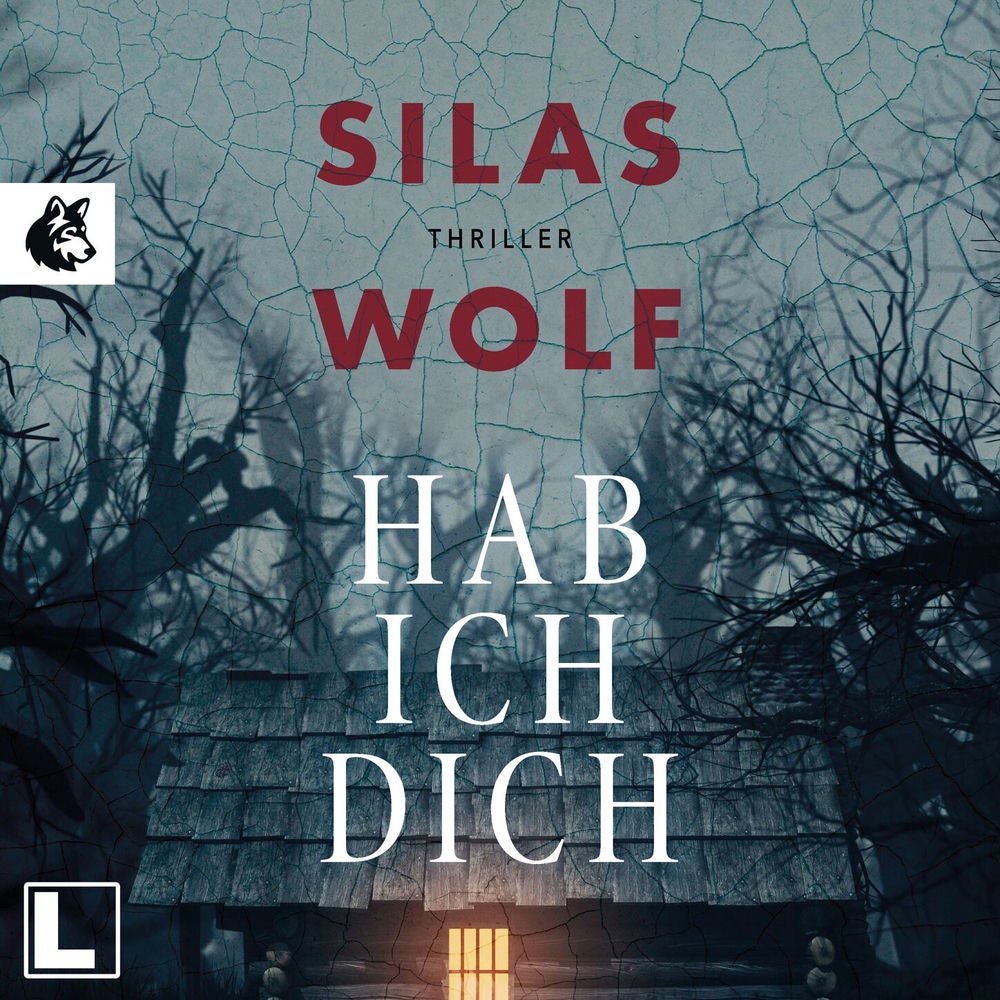 Hab ich dich - Ein Fall für Jonas Starck, Band 2
