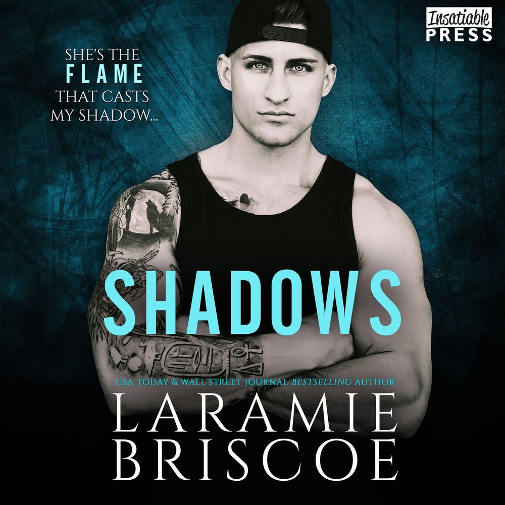 Shadows - A single dad, MMA fighter, new adult romance