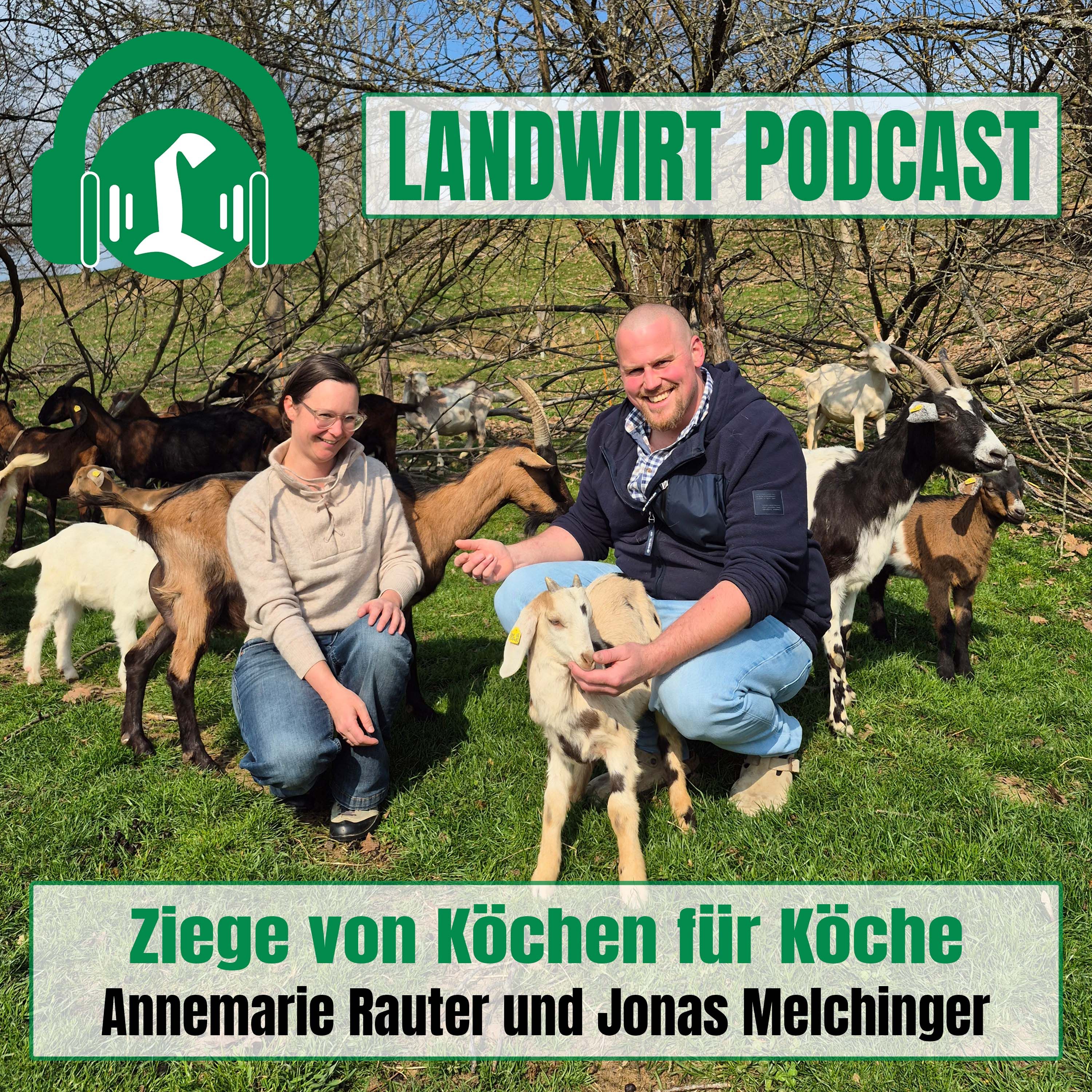 Ziege von Köchen für Köche