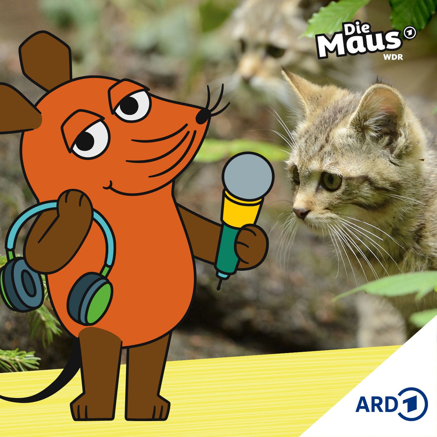 Miau! Babyalarm im Wald