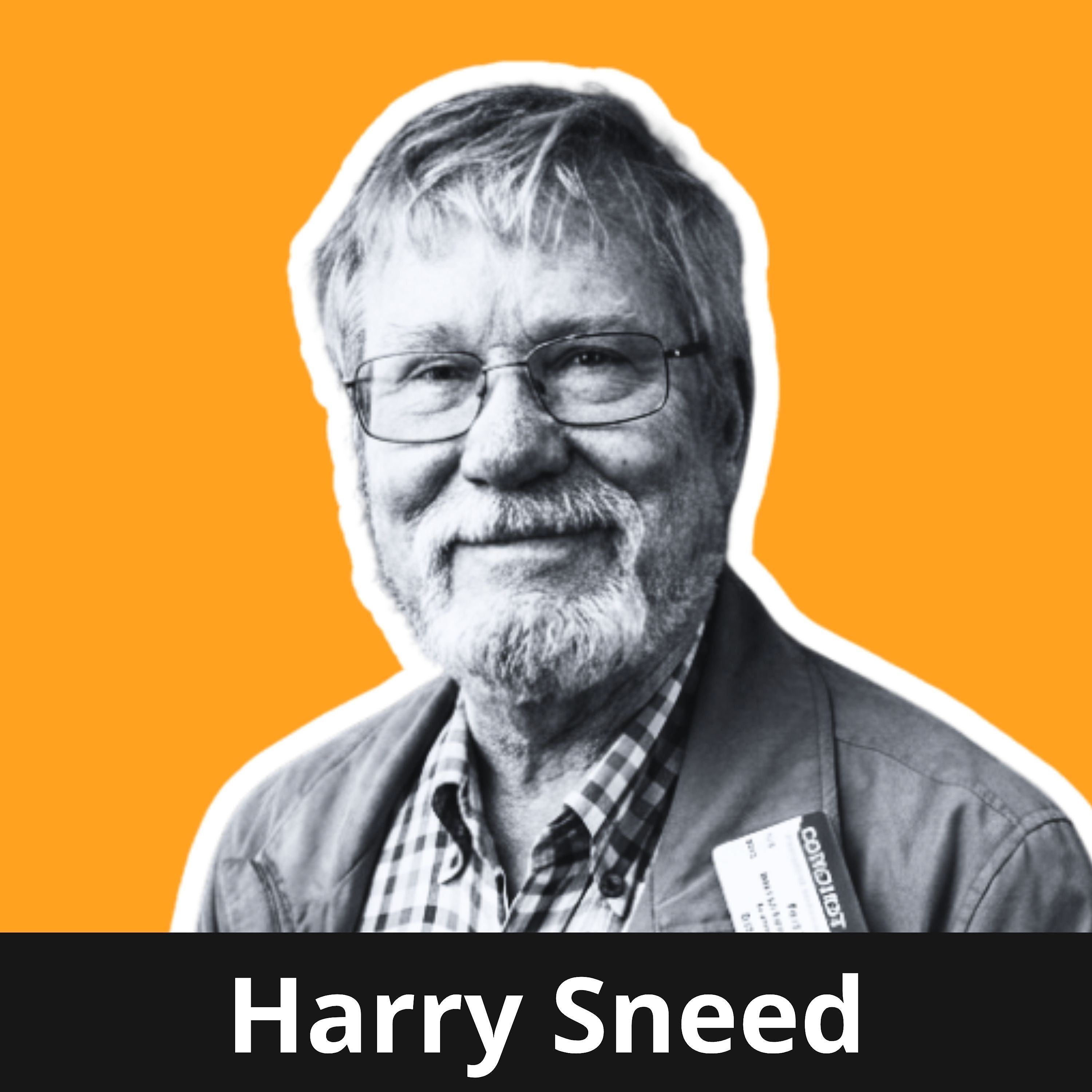 Mein Mentor im Gespräch - Harry Sneed