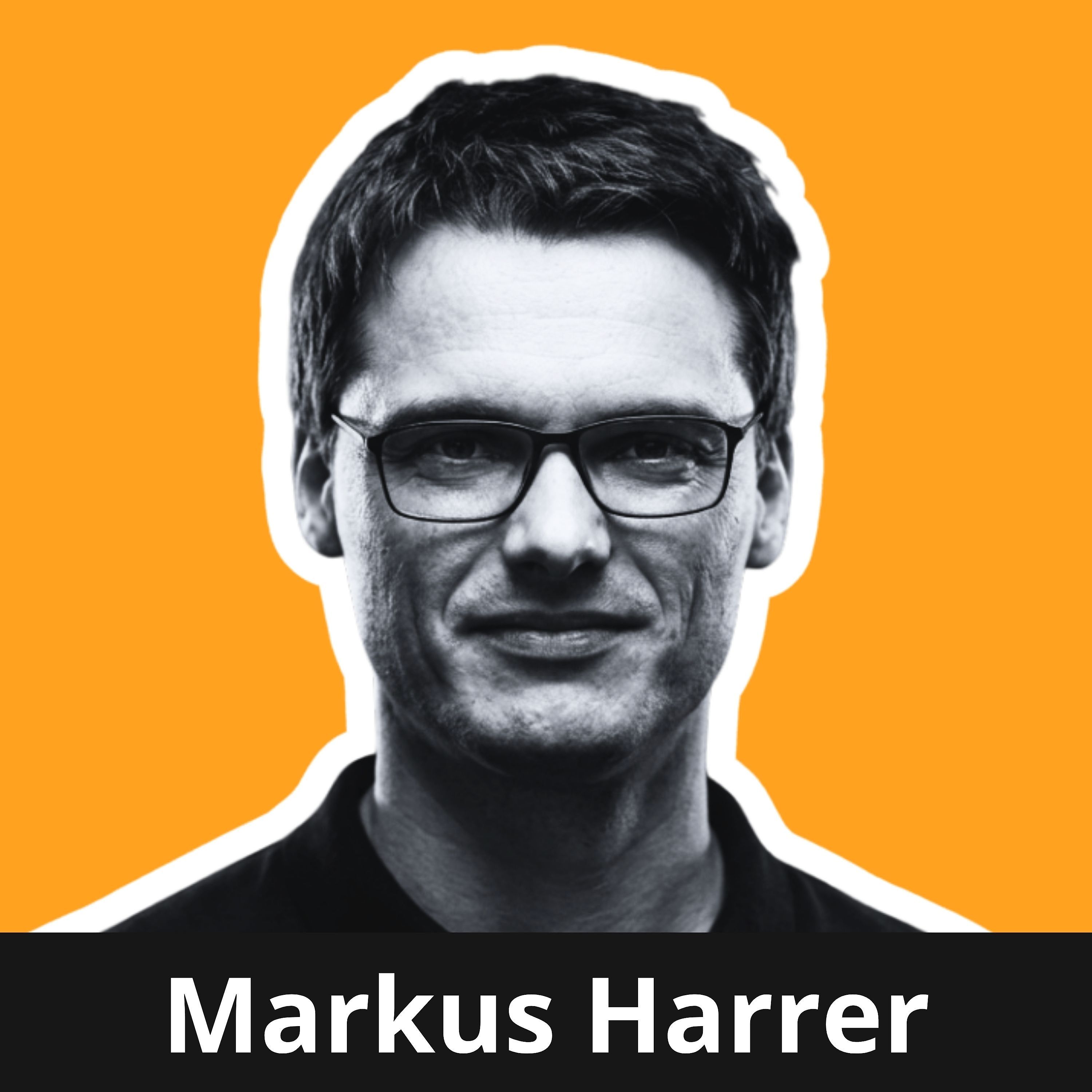 Evolutionäre Qualität - Markus Harrer