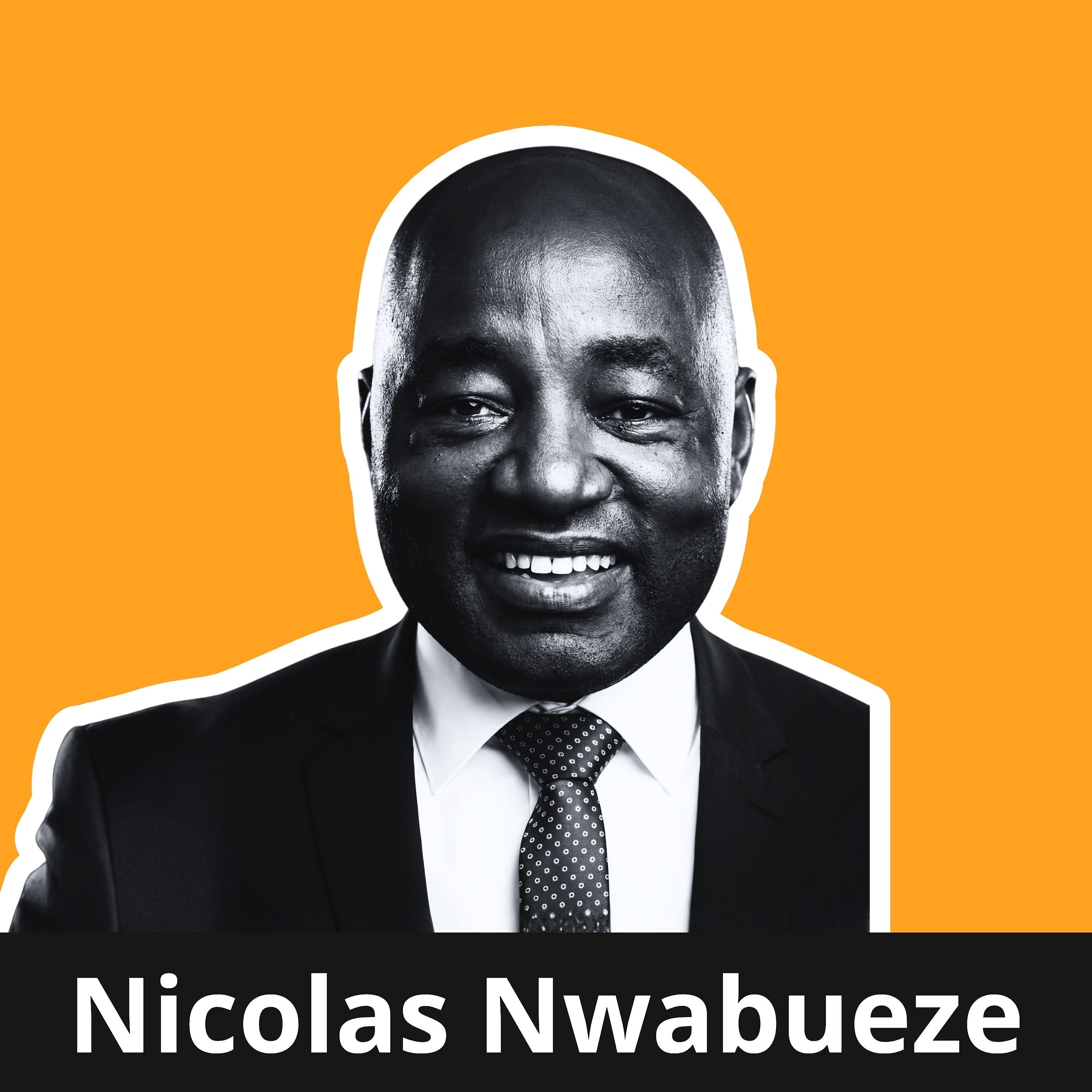 Testorganisation des nächsten Jahrzehnts - Nicolas Nwabueze