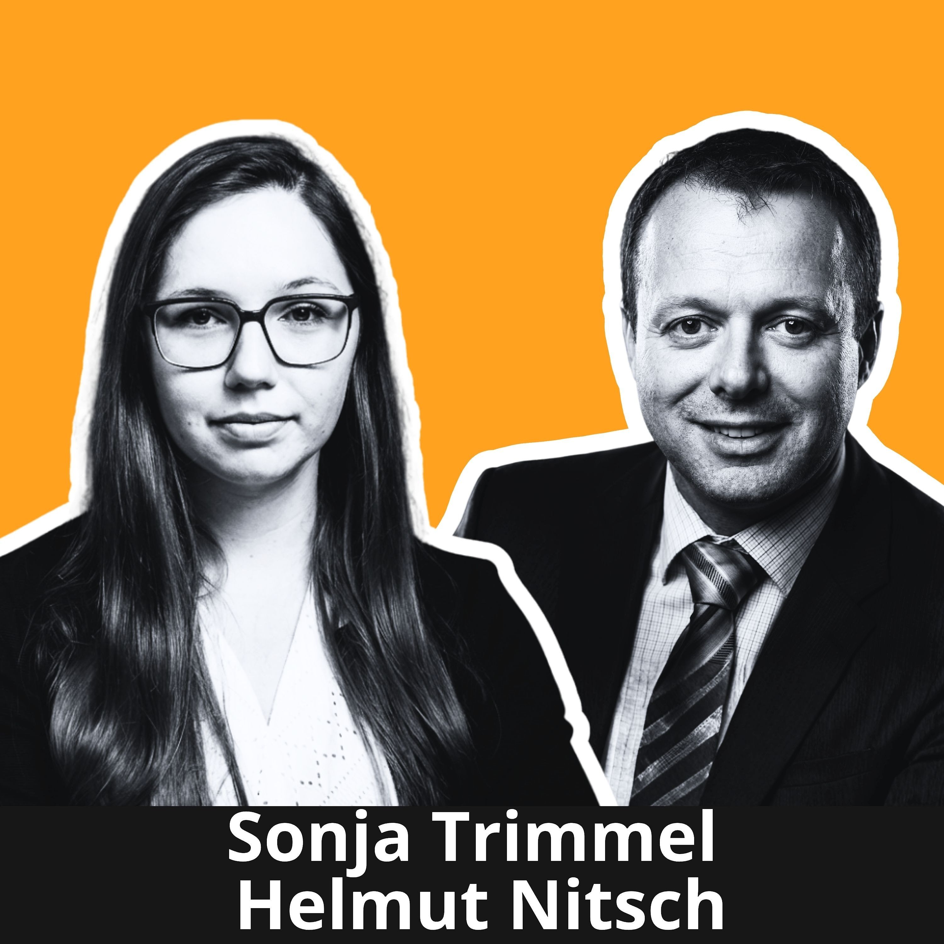 Übernahme von Software mit unbekannter Qualität - Sonja Trimmel, Helmut Nitsch