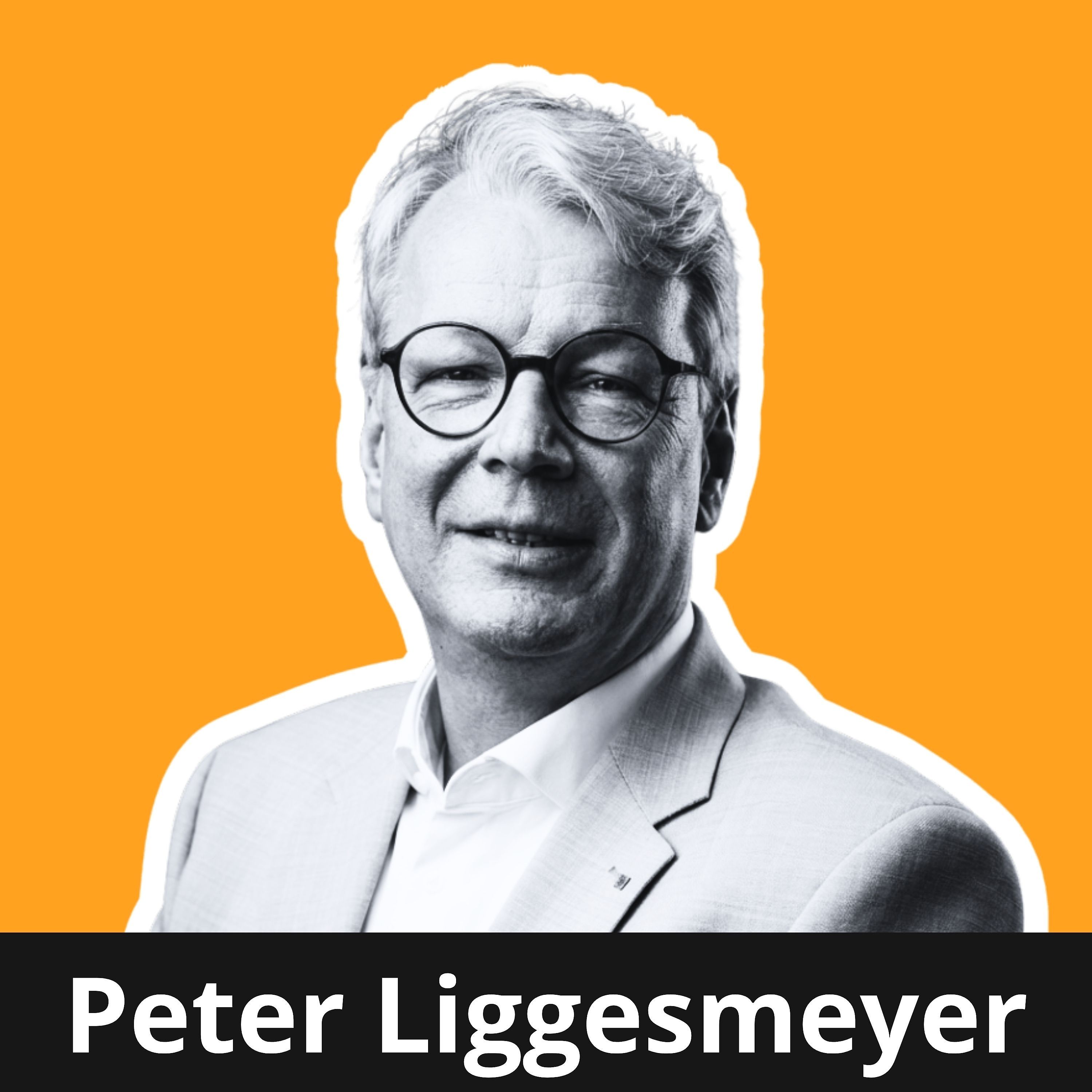 Zeitalter der Autonomik - Peter Liggesmeyer