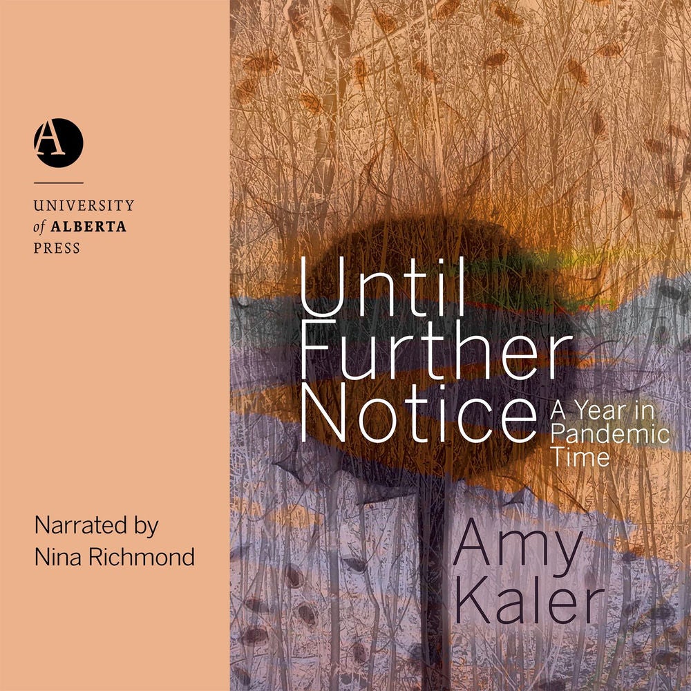 Until Further Notice - A Year in Pandemic Time