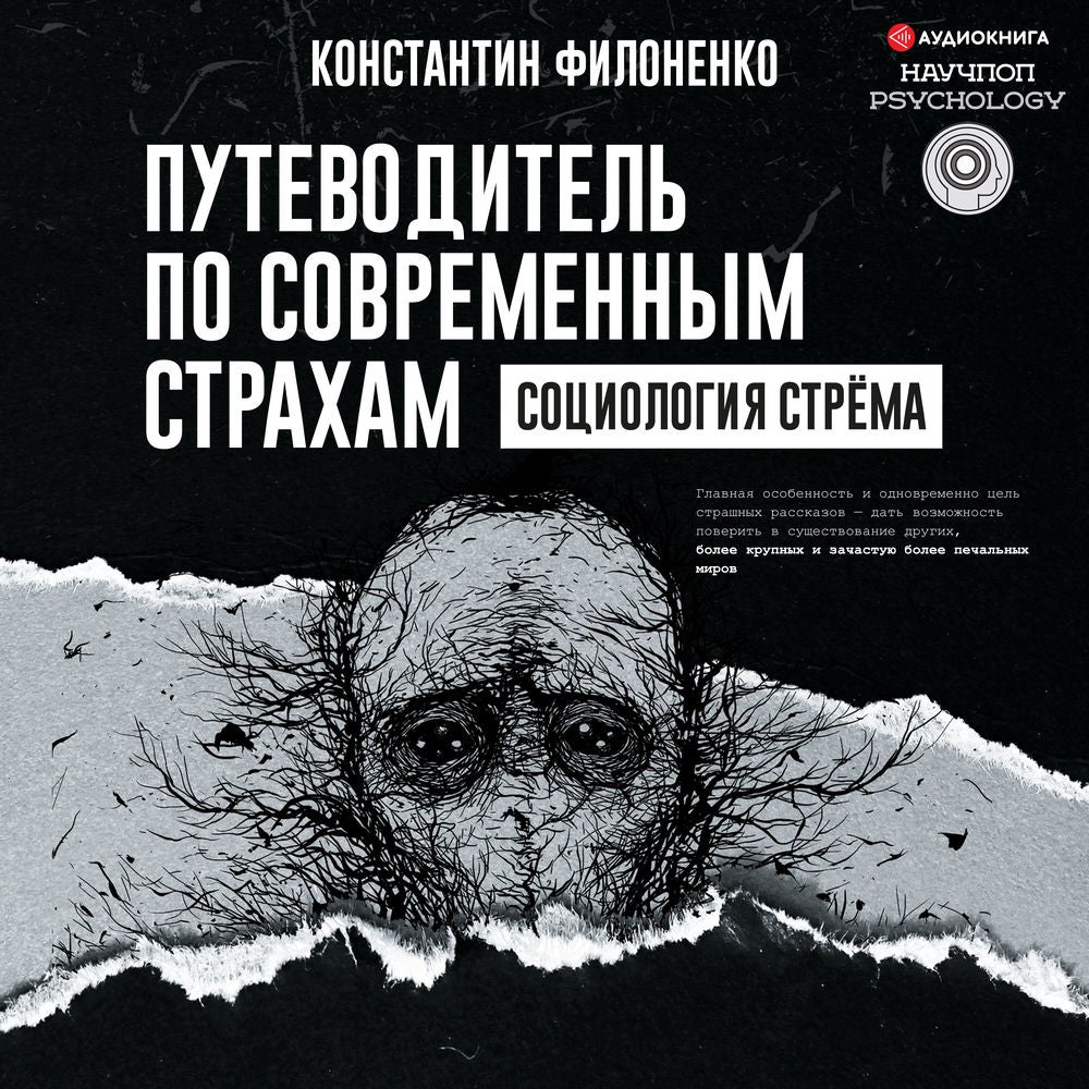 Путеводитель по современным страхам. Социология стрема