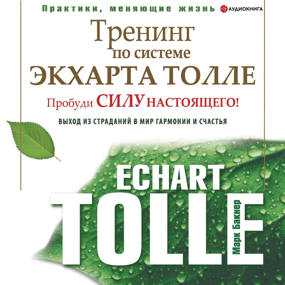 Тренинг по системе Экхарта Толле