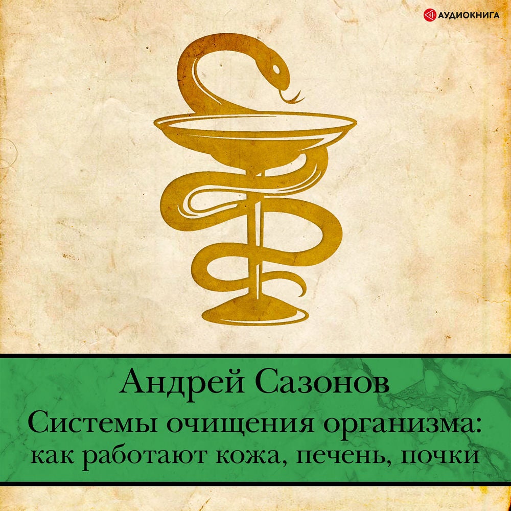 Системы очищения организма: как работают кожа, печень, почки