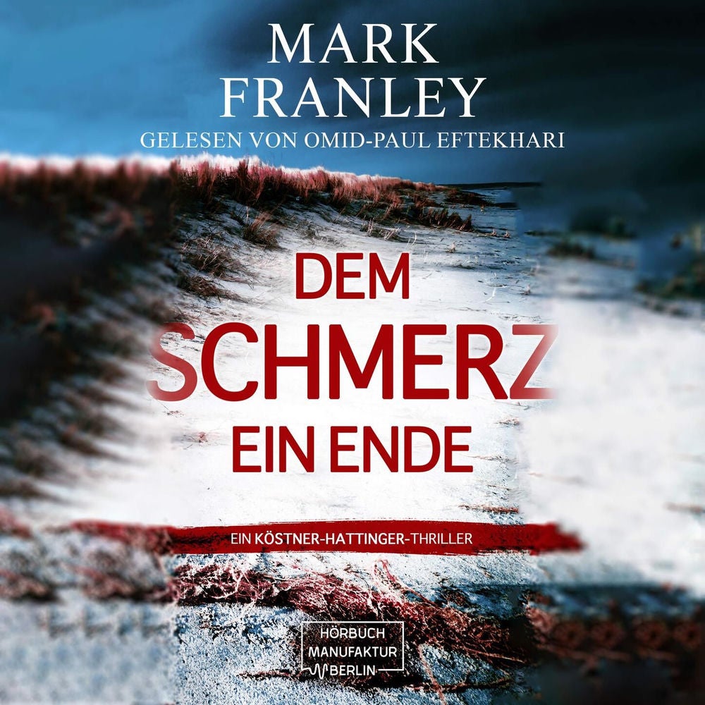Dem Schmerz ein Ende - Ein Köstner-Hattinger-Thriller, Band 3