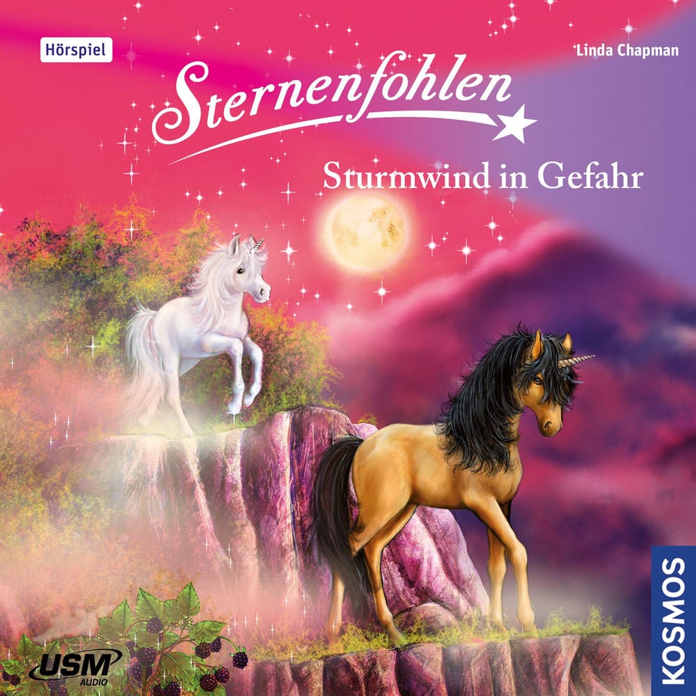 Teil 15: Sturmwind in Gefahr