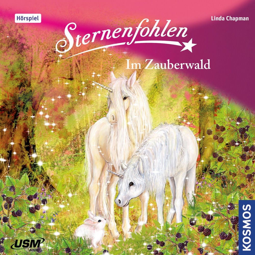 Teil 13: Im Zauberwald