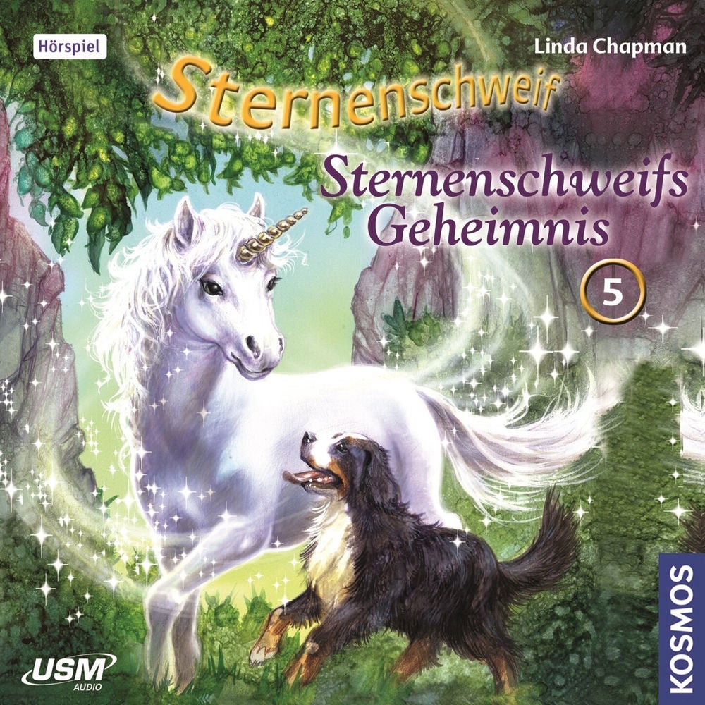 Teil 5: Sternenschweifs Geheimnis