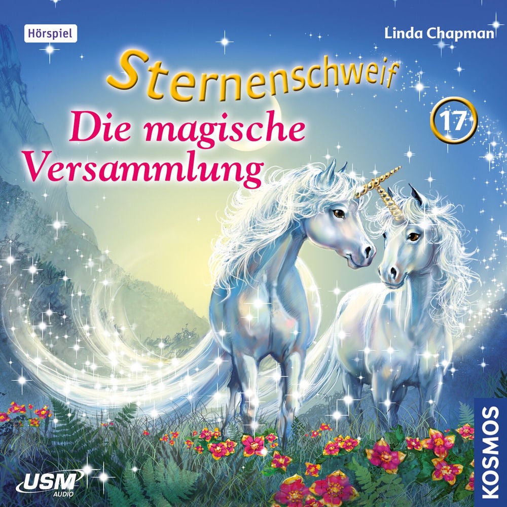 Teil 17: Die magische Versammlung