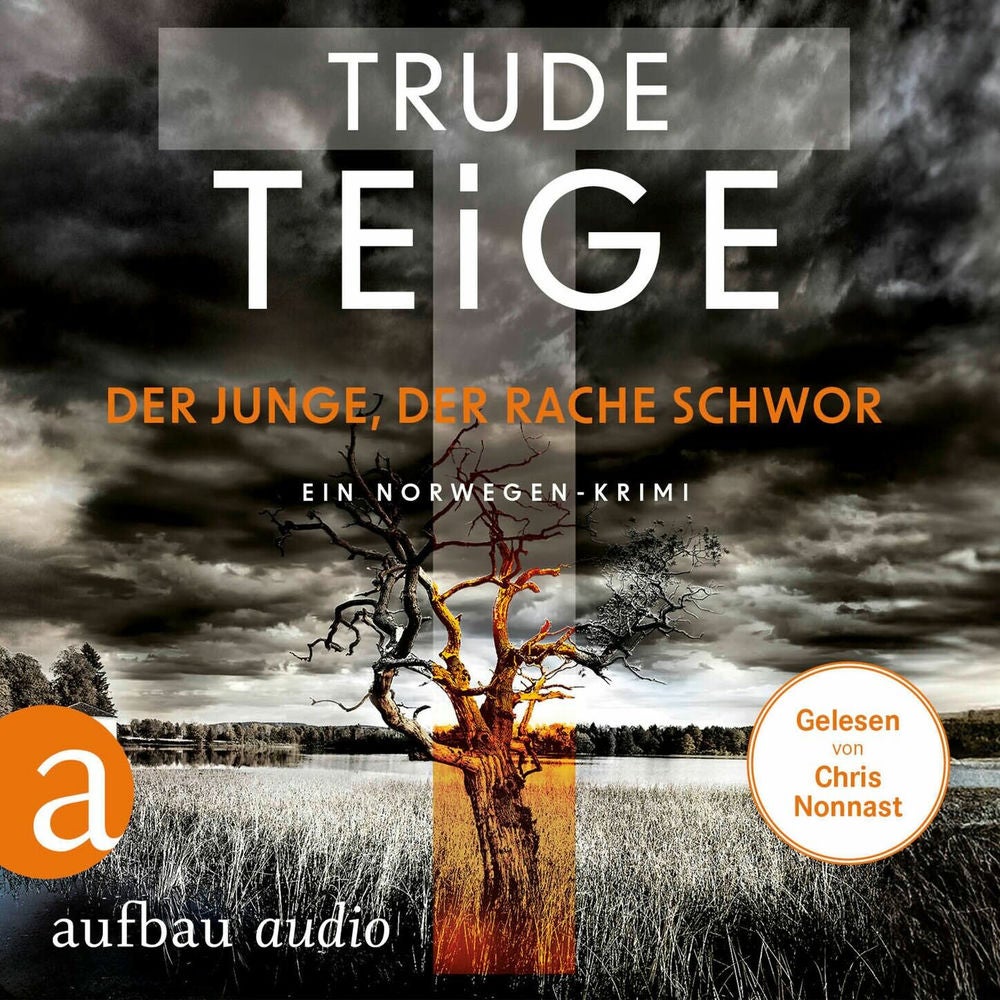 Der Junge, der Rache schwor - Kajsa Coren, Band 1