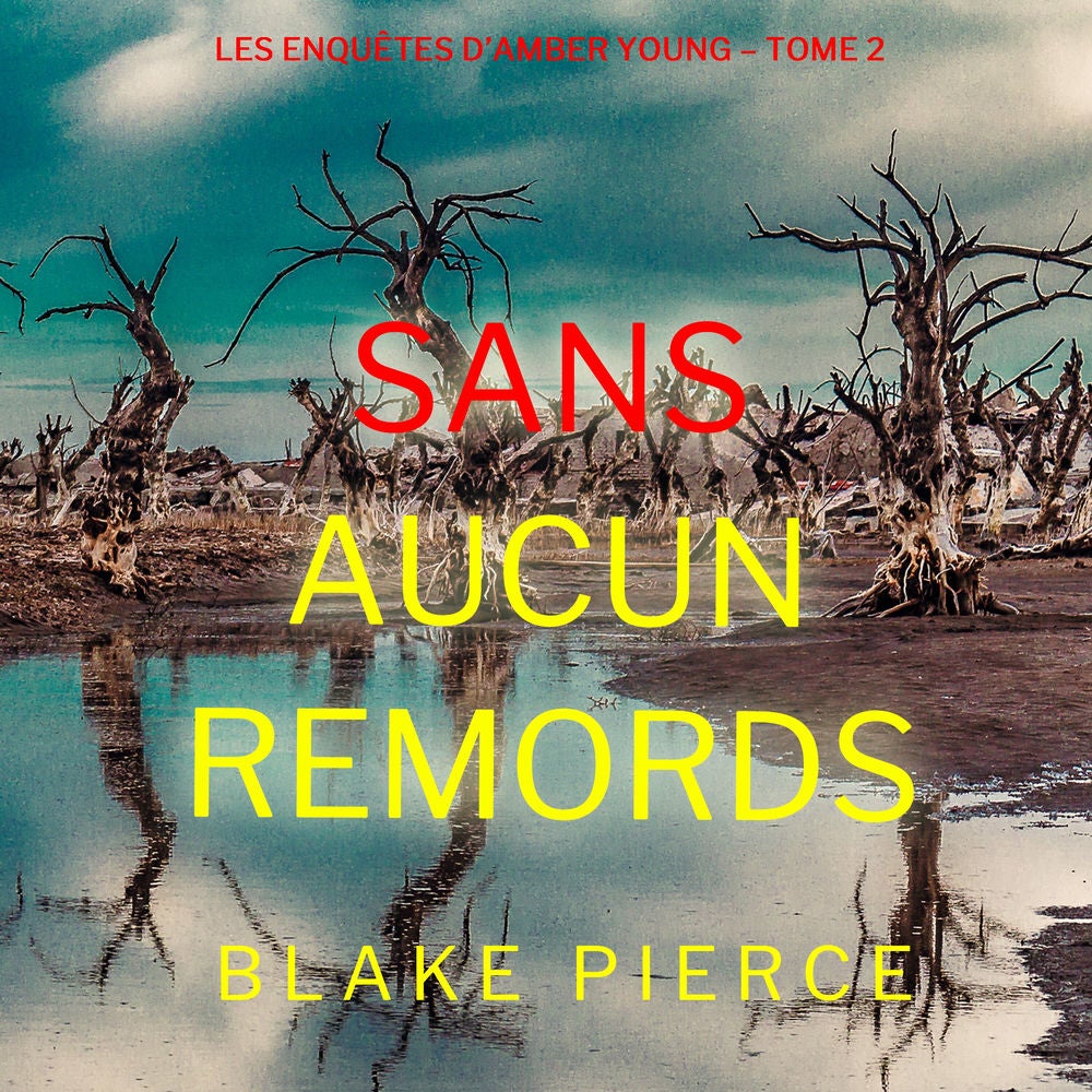 Sans aucun remords (Les enquêtes d'Amber Young – Tome 2)