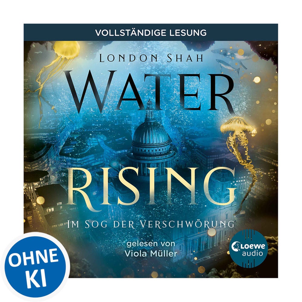 Water Rising (Band 2) - Im Sog der Verschwörung