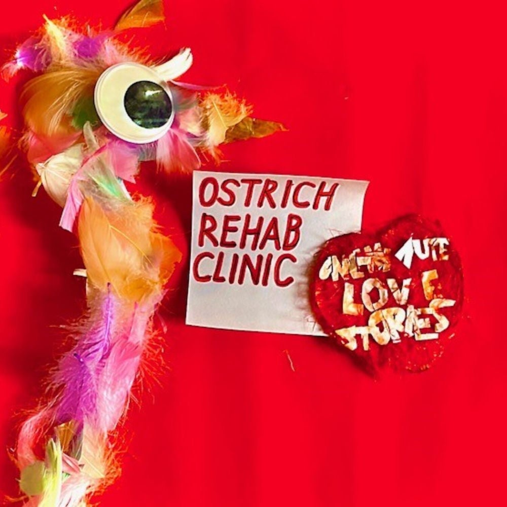 Ostrich Rehab Clinic