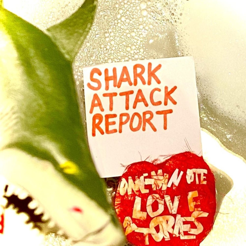 Shark Attack Report