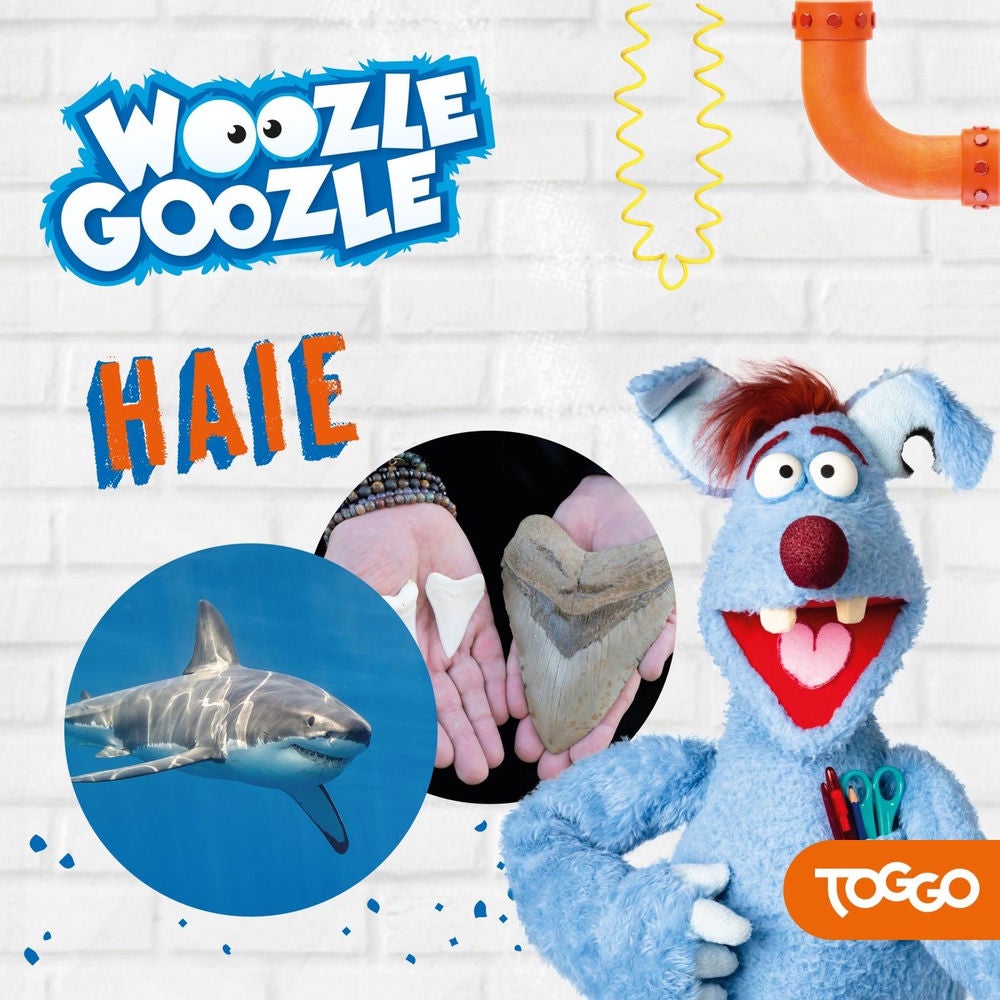 Folge 05: Haie
