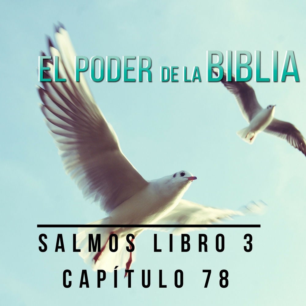 Salmo Libro 3 Capítulo 78