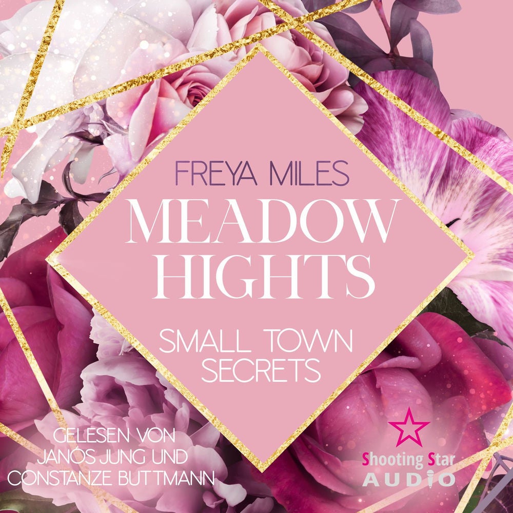 Meadow Hights: Small Town Secrets - New York Gentlemen, Band 5