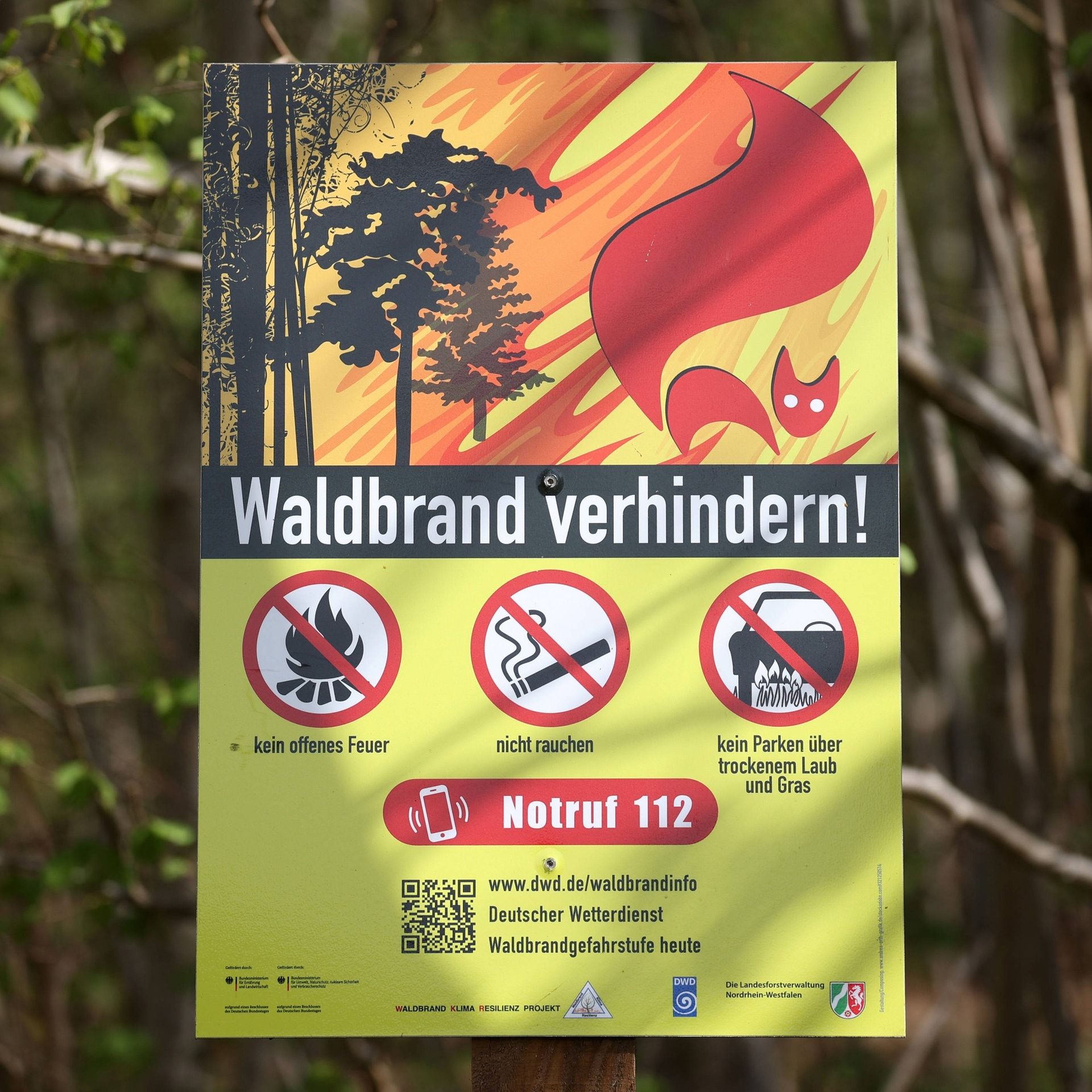 Waldbrandgefahr - wie verhalte ich mich richtig?