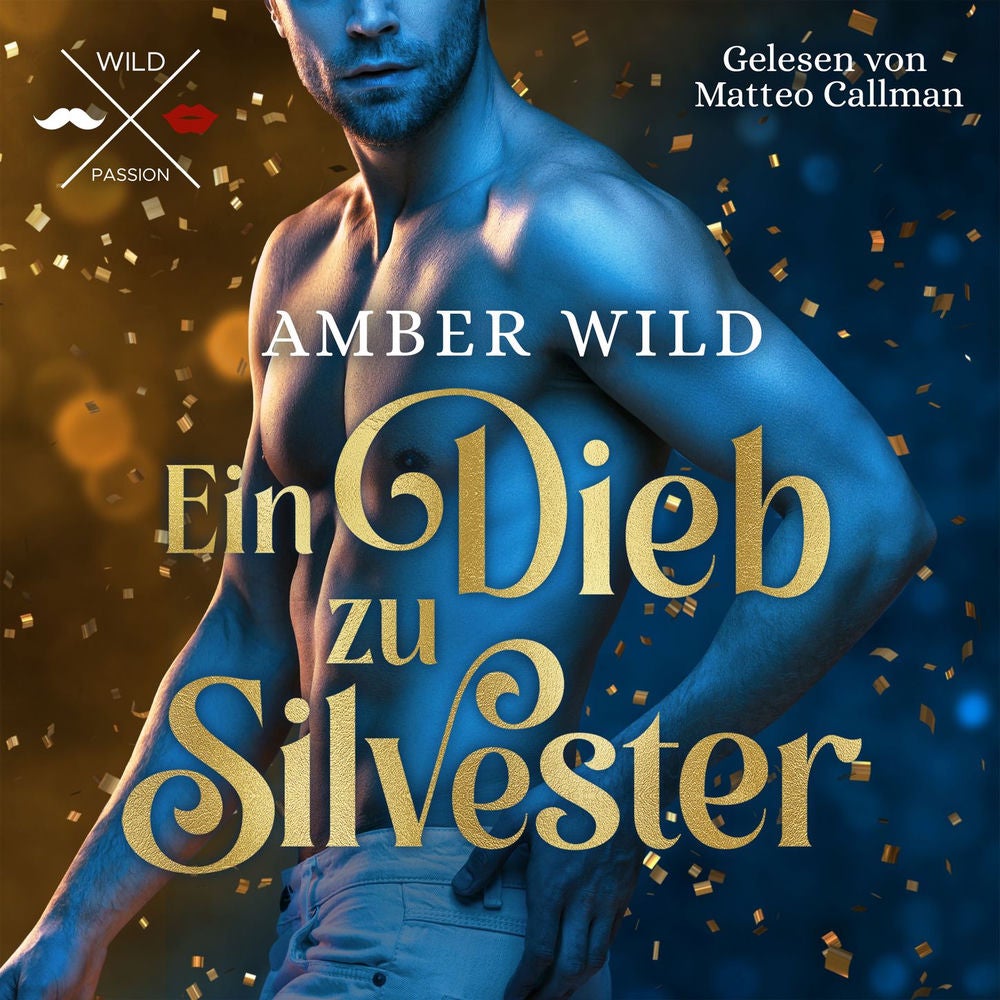 Ein Dieb zu Silvester - Humorvolle Gay Romance zu Weihnachten