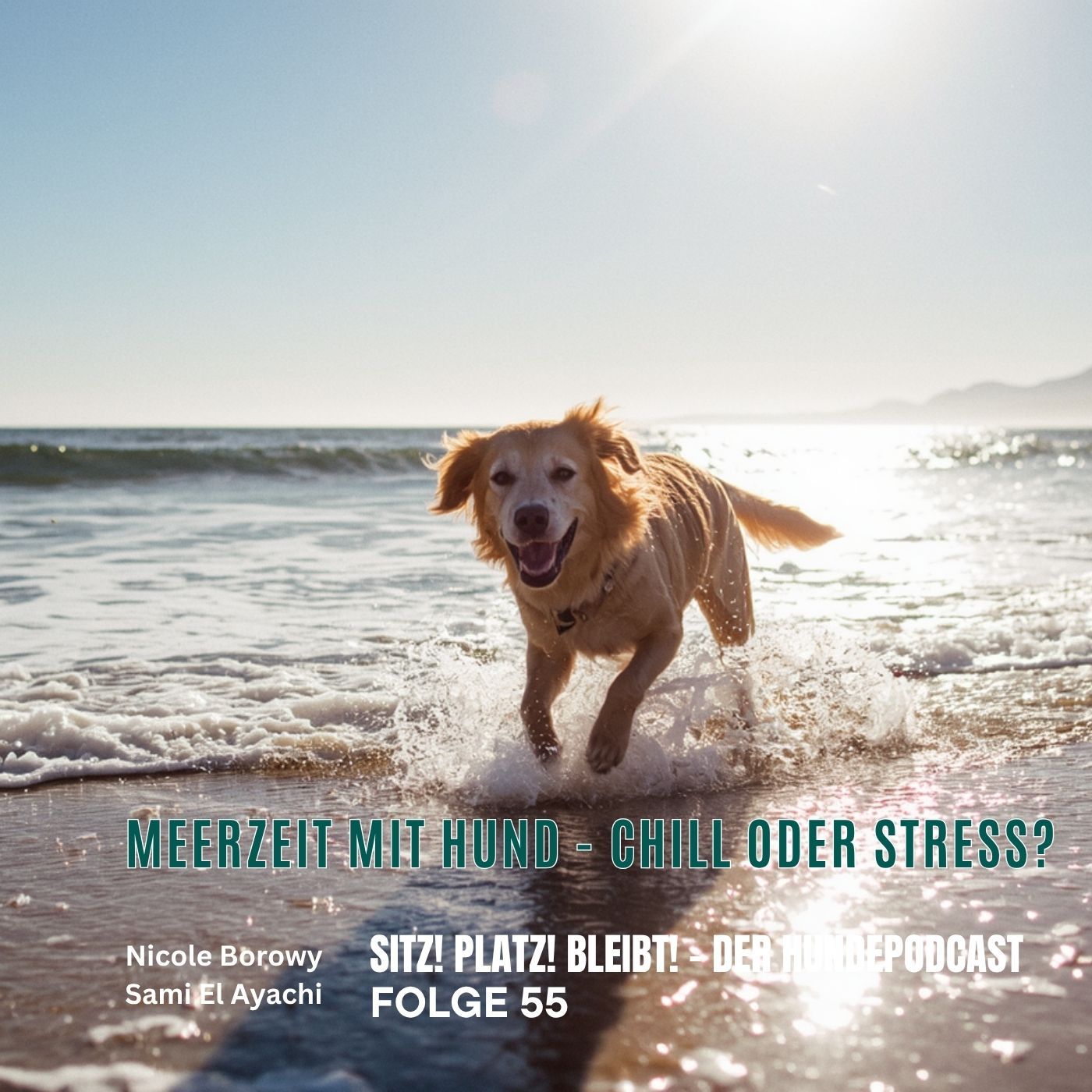 #55 Meerzeit mit Hunden - Chill Modus oder Stress pur?