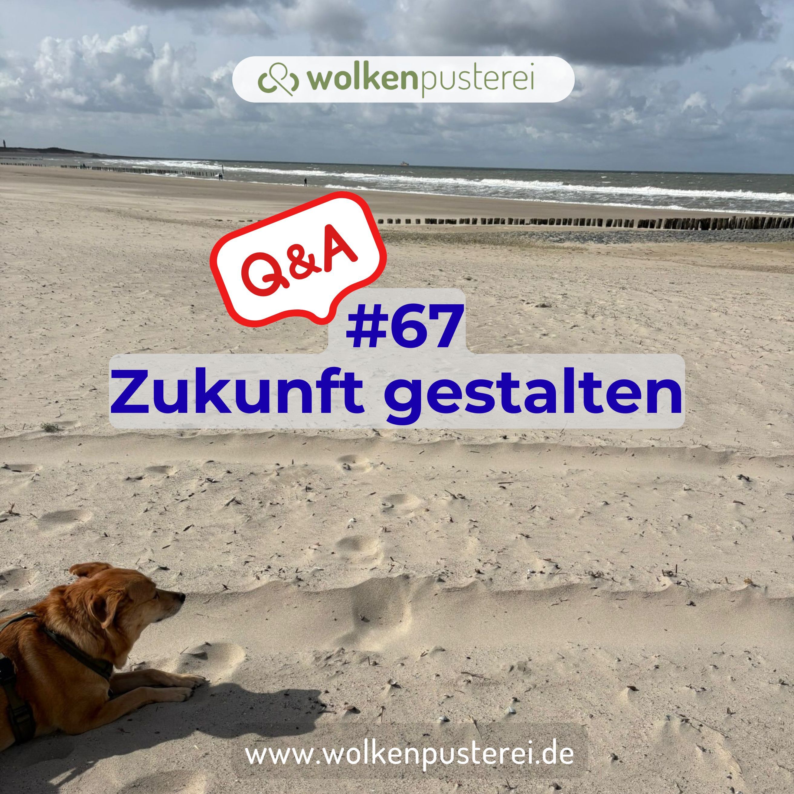 #67 Q&A Zukunft gestalten