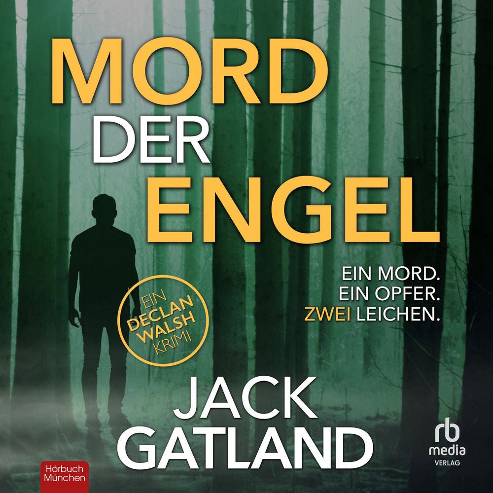 Mord der Engel - Detective Inspector Declan Walsh, Band 2