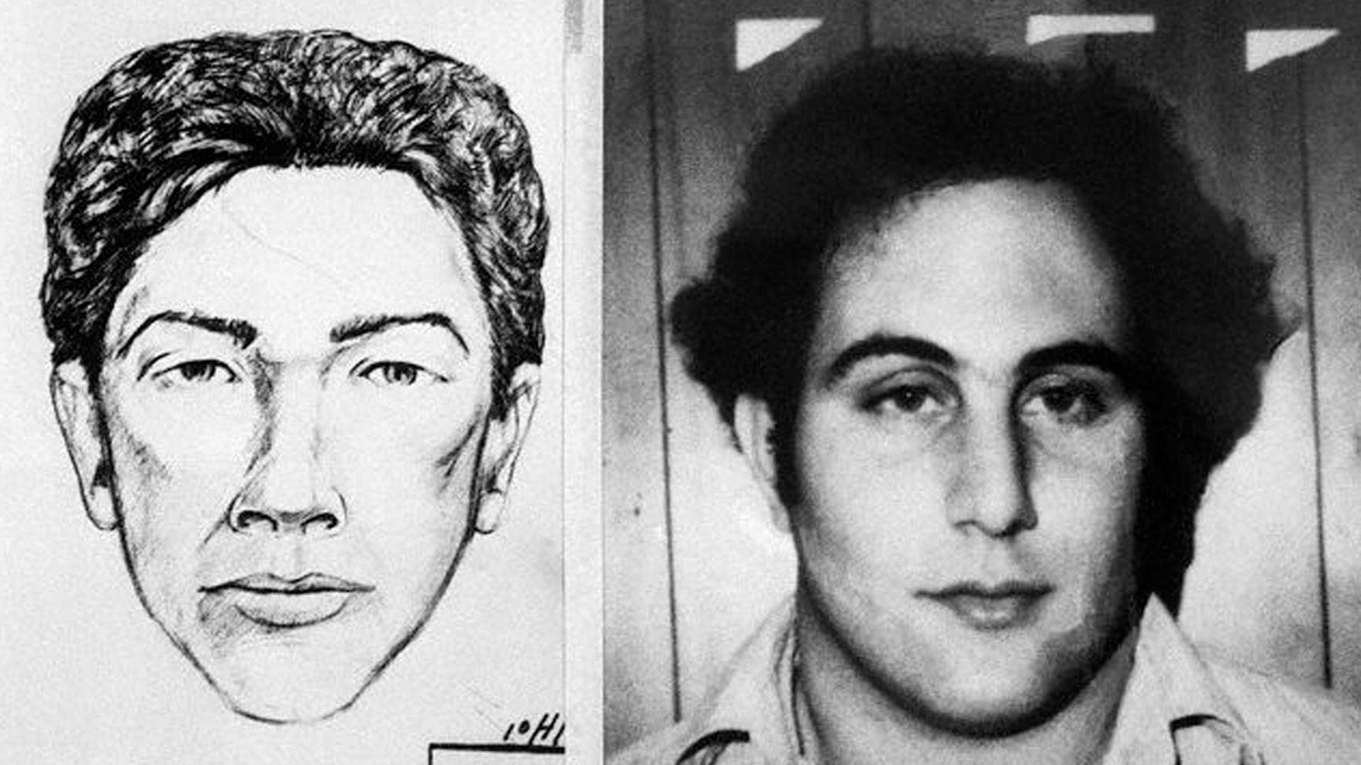 David Berkowitz