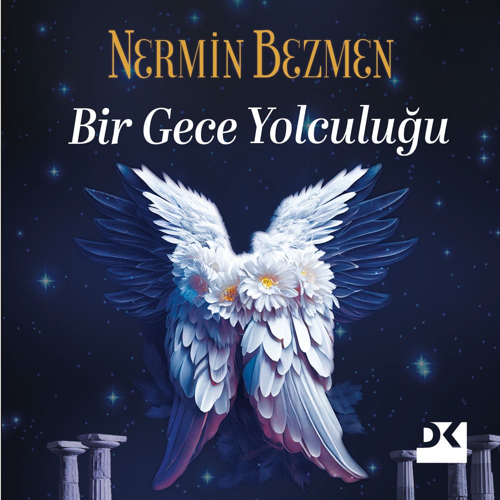 Bir Gece Yolculuğu