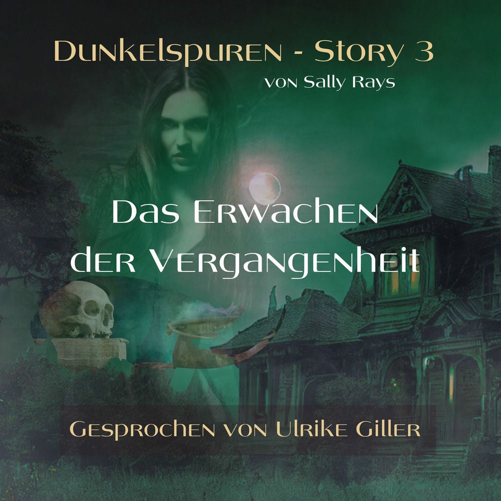 Dunkelspuren - Story 3