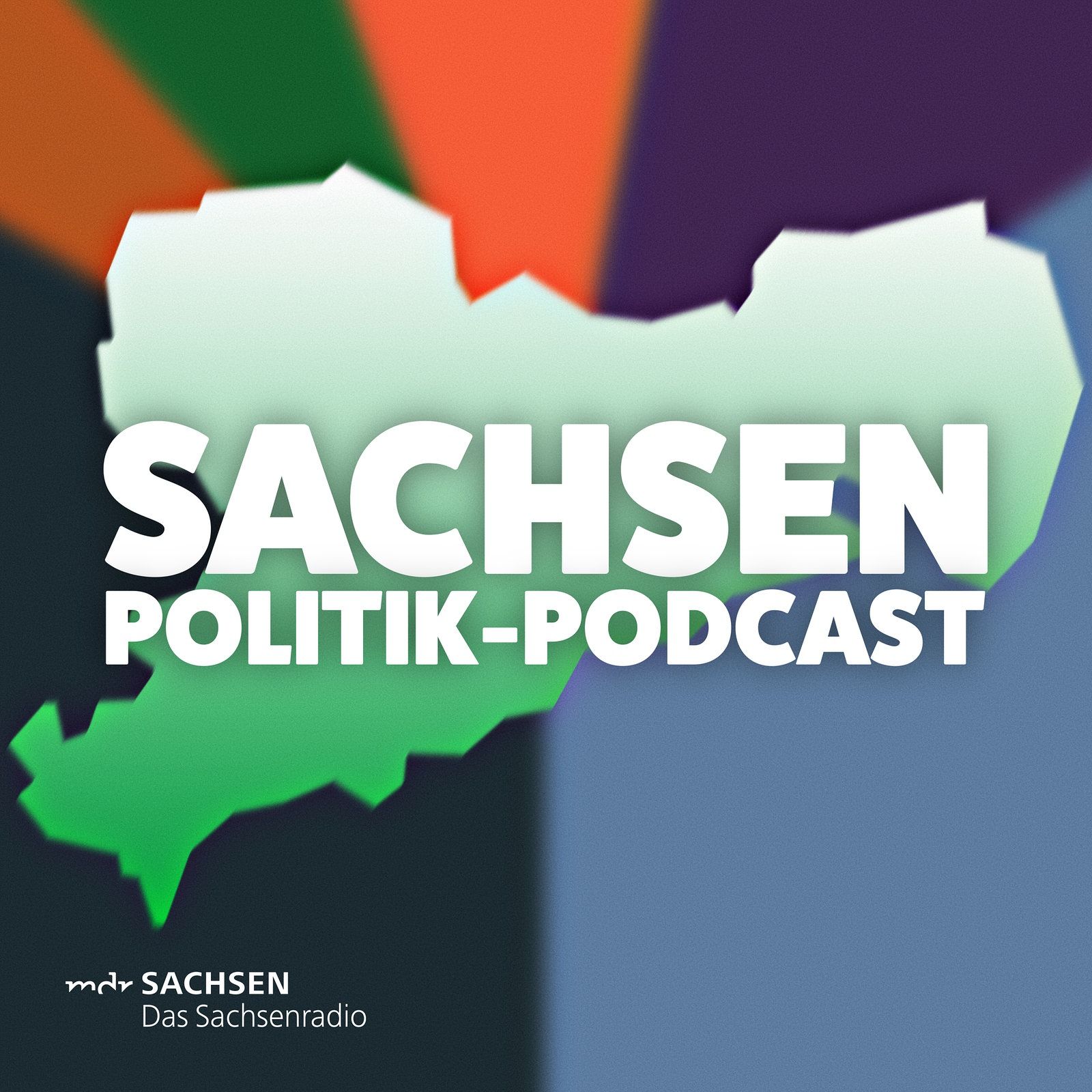 Sachsens Haushaltsklausur und Behördenreform, Grüne in Leipzig, Yad-Vashem-Entscheidung